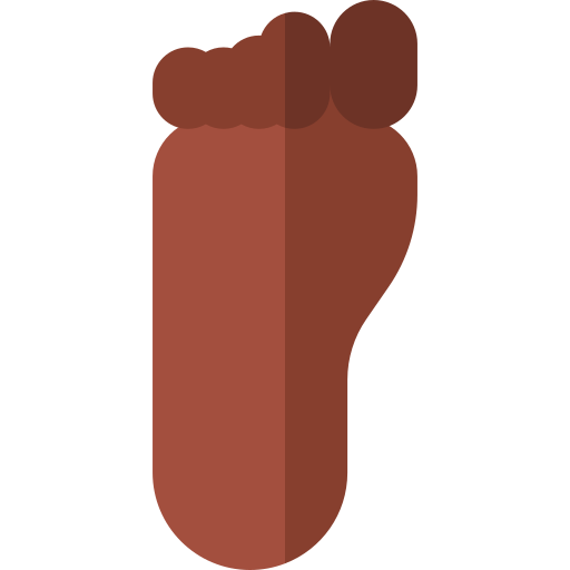 pieds Icône gratuit