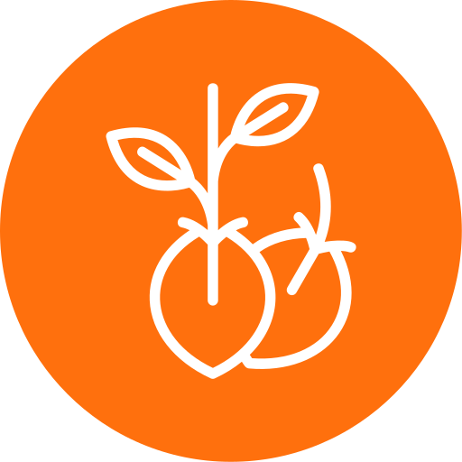 graines Icône gratuit