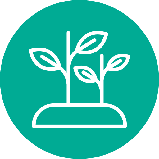 Sprout - free icon