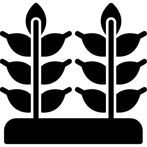 Wheat free icon