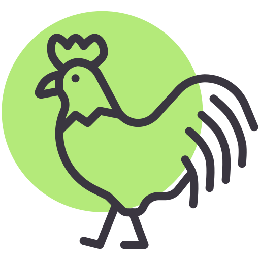 Chicken - free icon