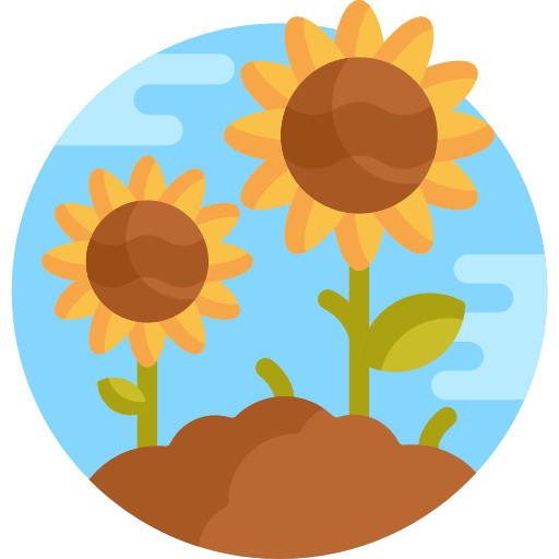 girasol icono gratis