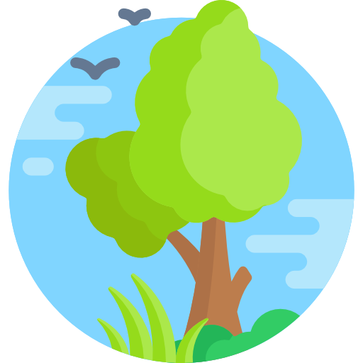 Naturaleza Iconos Gratis De Naturaleza