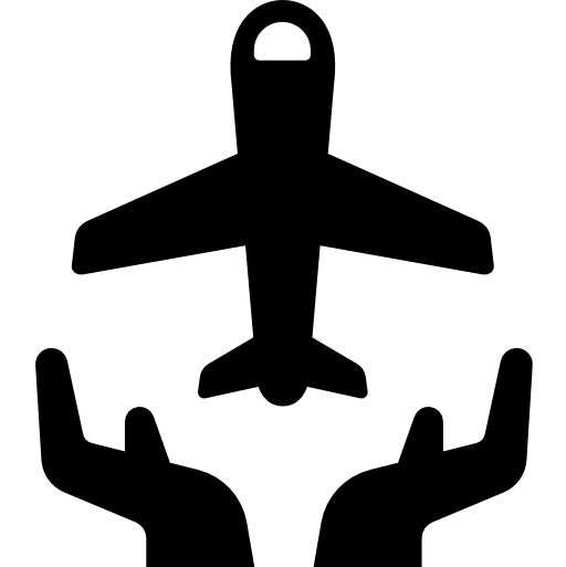 Flight free icon