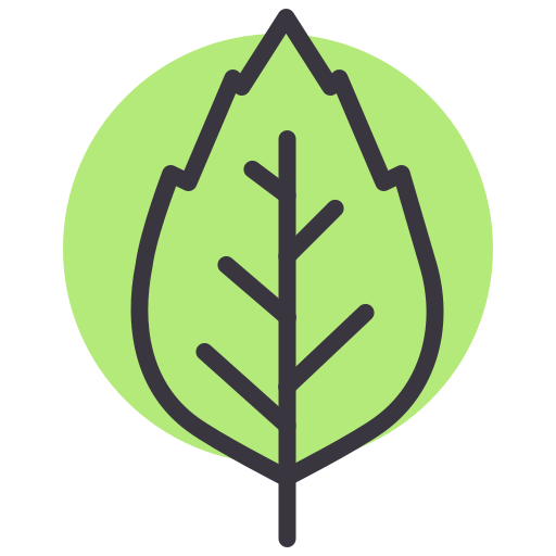 Green leaf icon 23363687 PNG