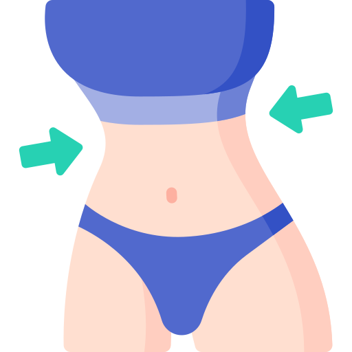 metas del cuerpo icono gratis