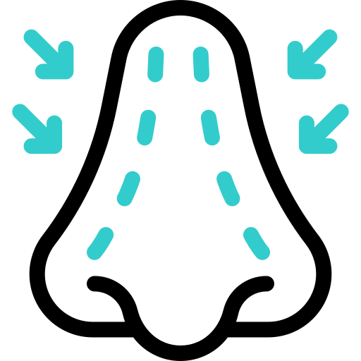 nasenkorrektur kostenlos Icon nasenkorrektur kostenlos Icon