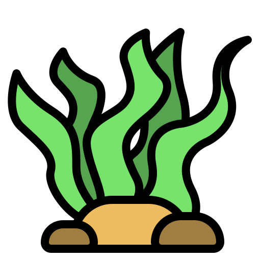 Seaweed Generic color outline icon