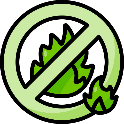 Flame free icon