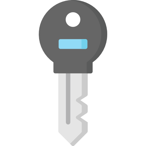 Key Special Flat Icon