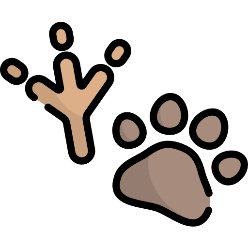 Footprint - Free Animals Icons