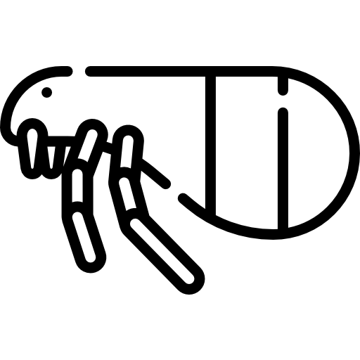 Flea free icon