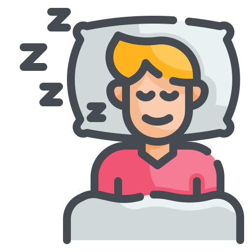 Sleeping Wanicon Lineal Color icon