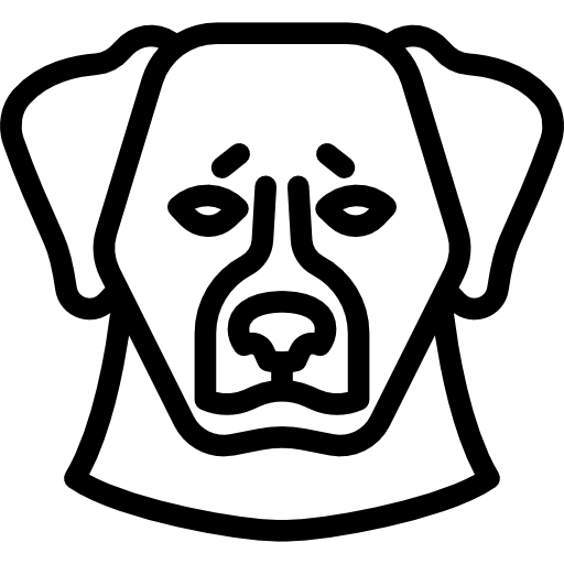 Bernese Mountain Dog - free icon