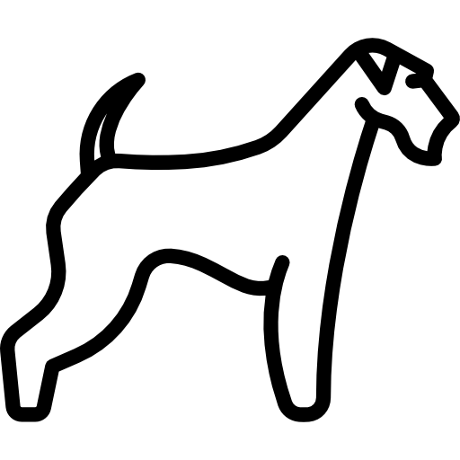 Airedale Special Lineal icon