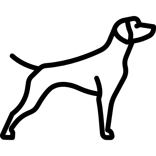 kurzhaar kostenlos Icon
