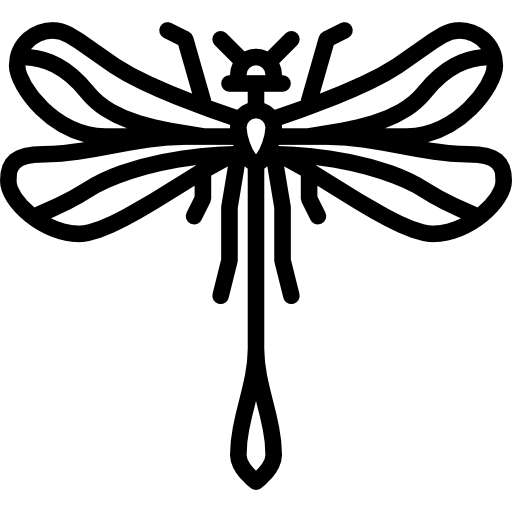 Dragonfly Special Lineal icon