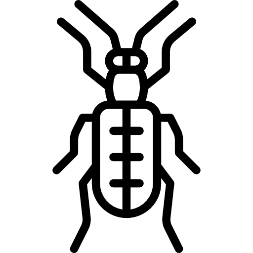 Asparagus Beetle Special Lineal icon