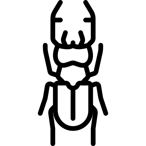 hirschkäfer kostenlos Icon