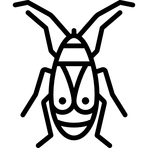 pyrrhocoridae Icône gratuit