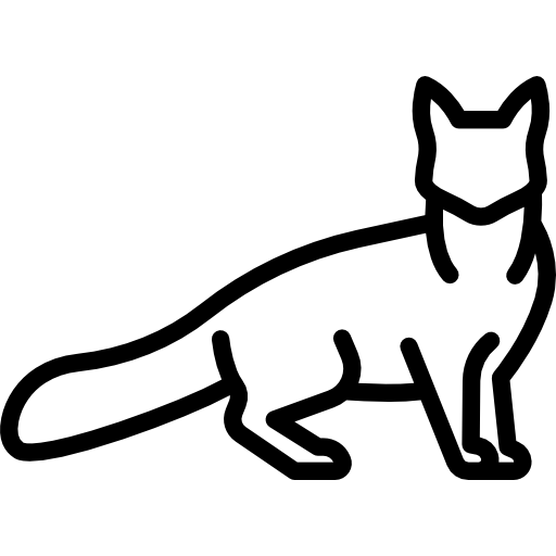 Turkish Angora Cat - Free animals icons