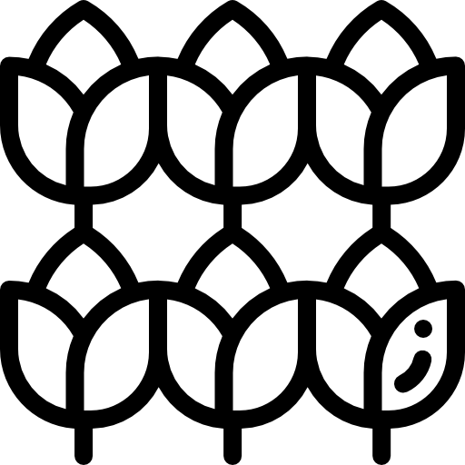 tulipe Icône gratuit