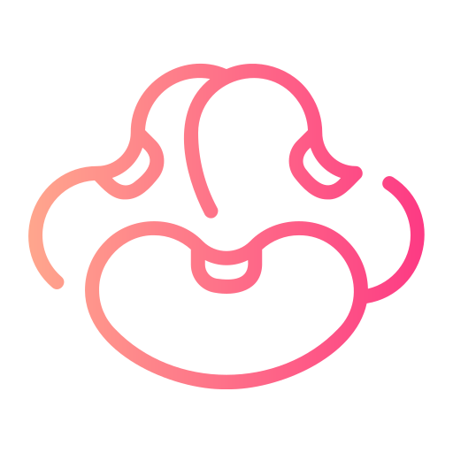 콩 무료 아이콘