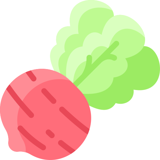 Radish free icon