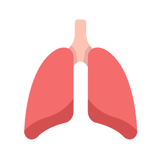 poumons Generic color fill Icône
