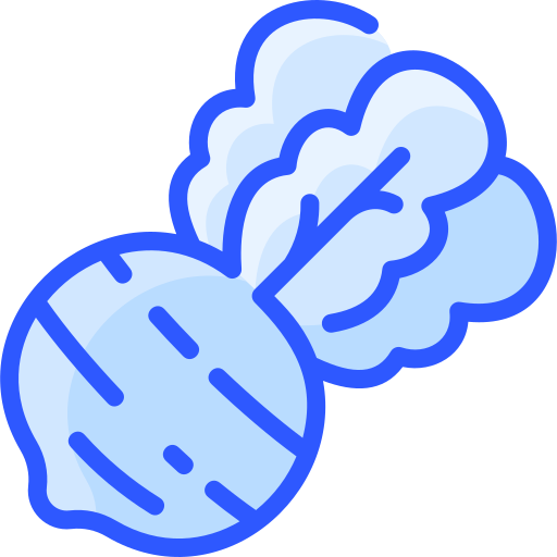 Radish free icon