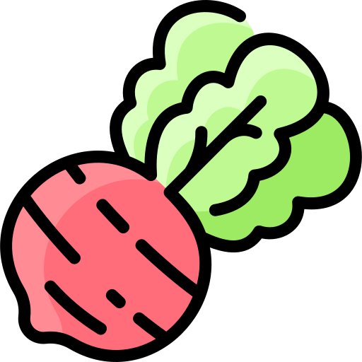 Radish free icon