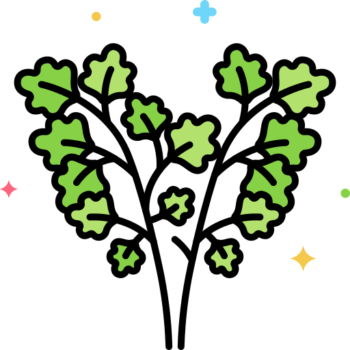 Parsley free icon