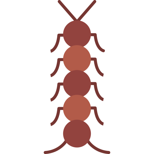 mille-pattes Icône gratuit