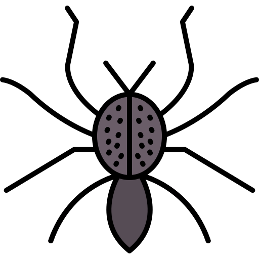 araignée Icône gratuit