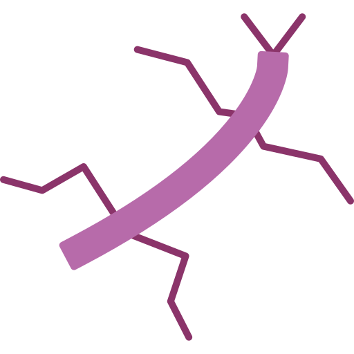 inseto grátis ícone