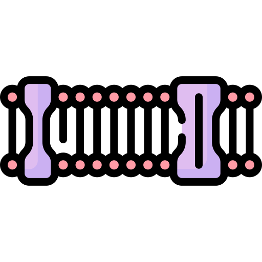 Plasma membrane free icon Plasma membrane free icon