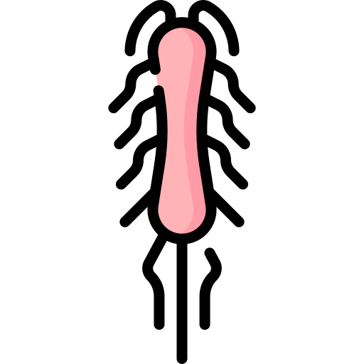 salmonella typhi grátis ícone salmonella typhi grátis ícone