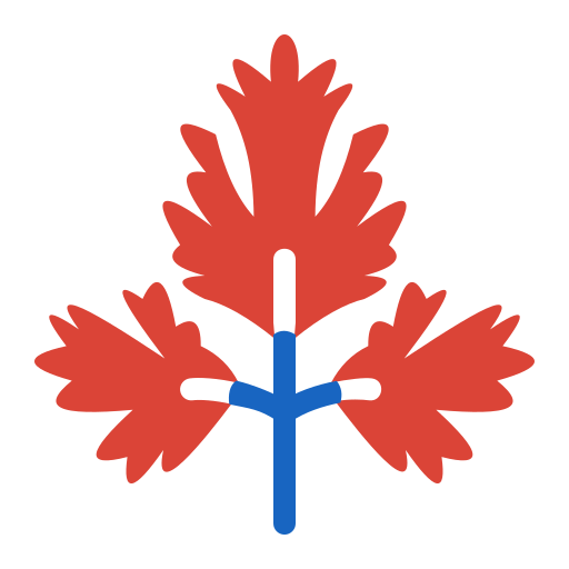 Parsley free icon
