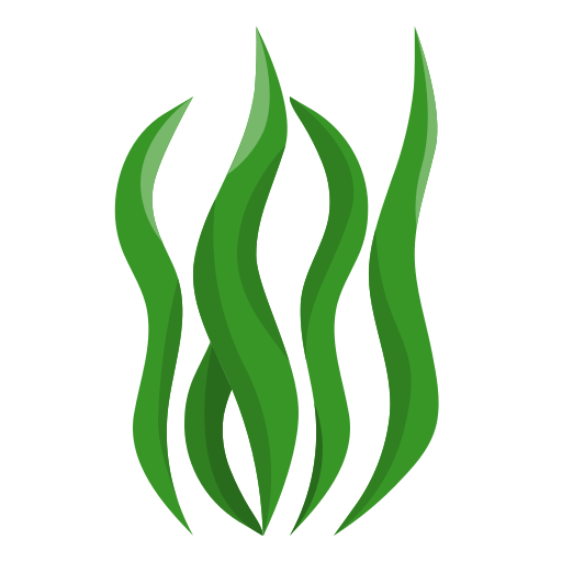 Seaweed - Free food icons