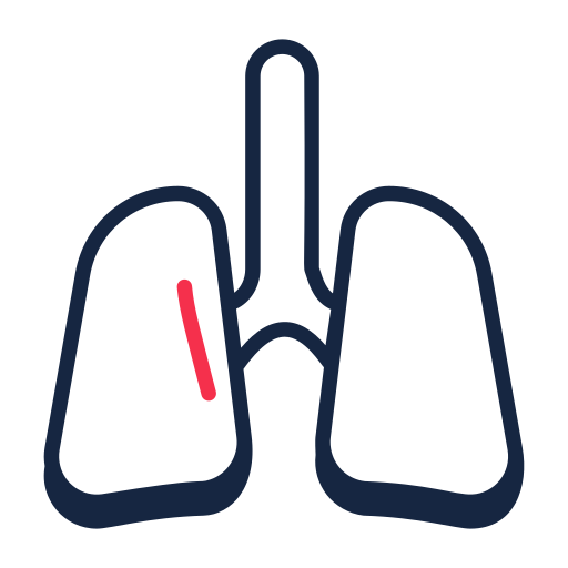 pulmones icono gratis