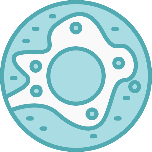 Doughnut free icon