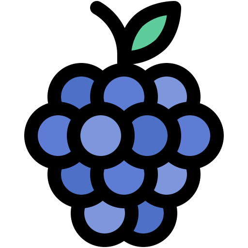 brombeere kostenlos Icon brombeere kostenlos Icon