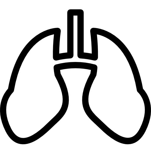 livianos icono gratis