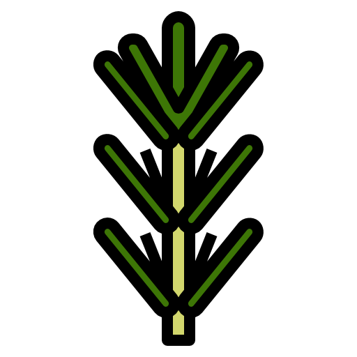 Rosemary free icon Rosemary free icon
