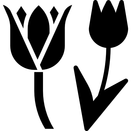 Тюльпан бесплатно иконка