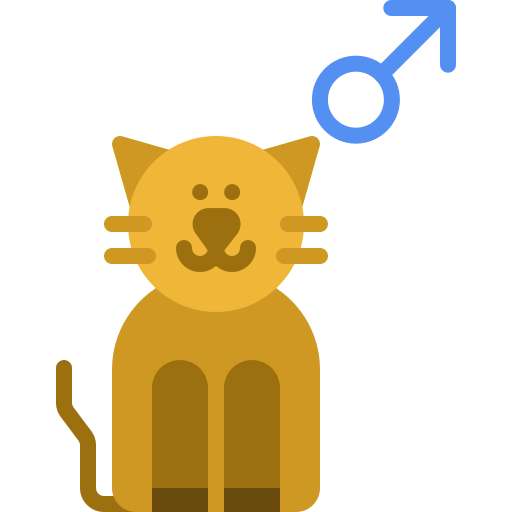 gato grátis ícone gato grátis ícone