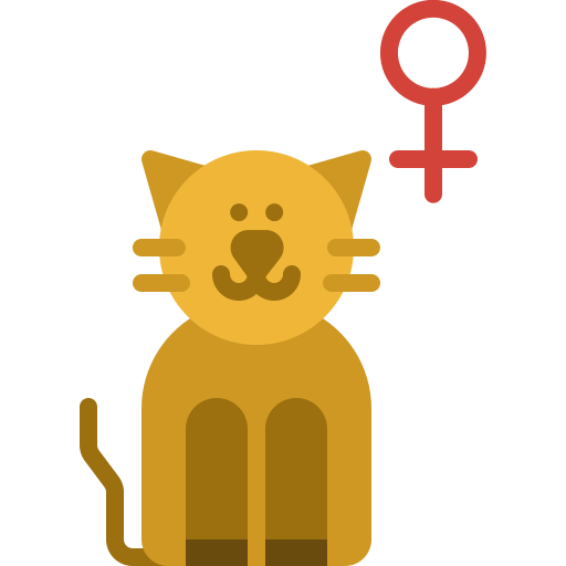 gato grátis ícone gato grátis ícone