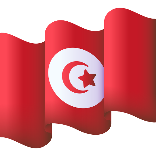 Stickers drapeau tunisie à acheter en ligne
