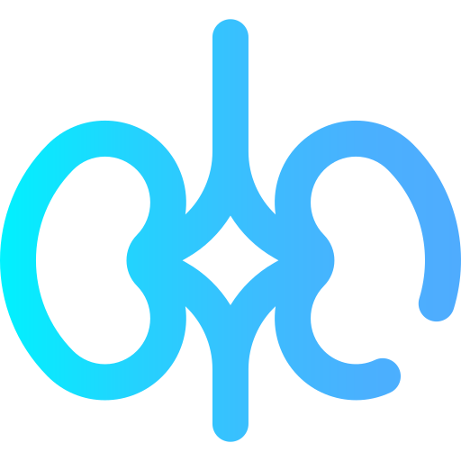 riñón icono gratis