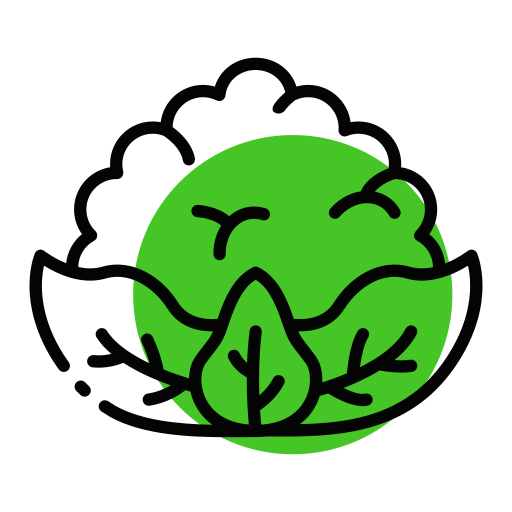 Цветная капуста бесплатно иконка